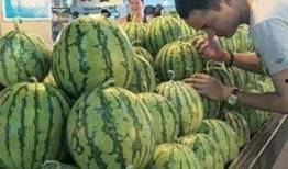 如何免费获得吃瓜动作